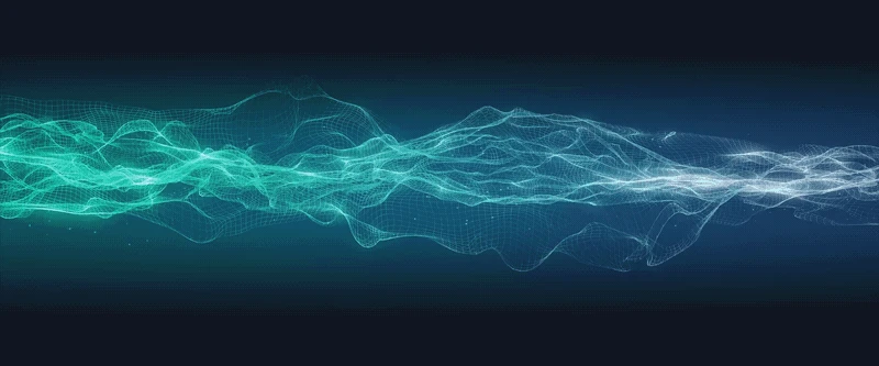 null Digits Search features