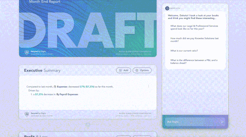 null Asking Digits AI for help while building reports