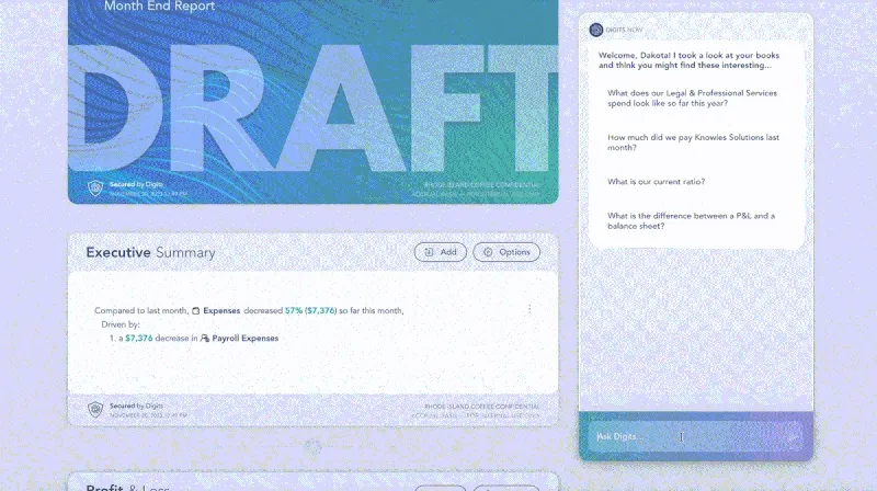 Asking Digits AI for help while building reports 