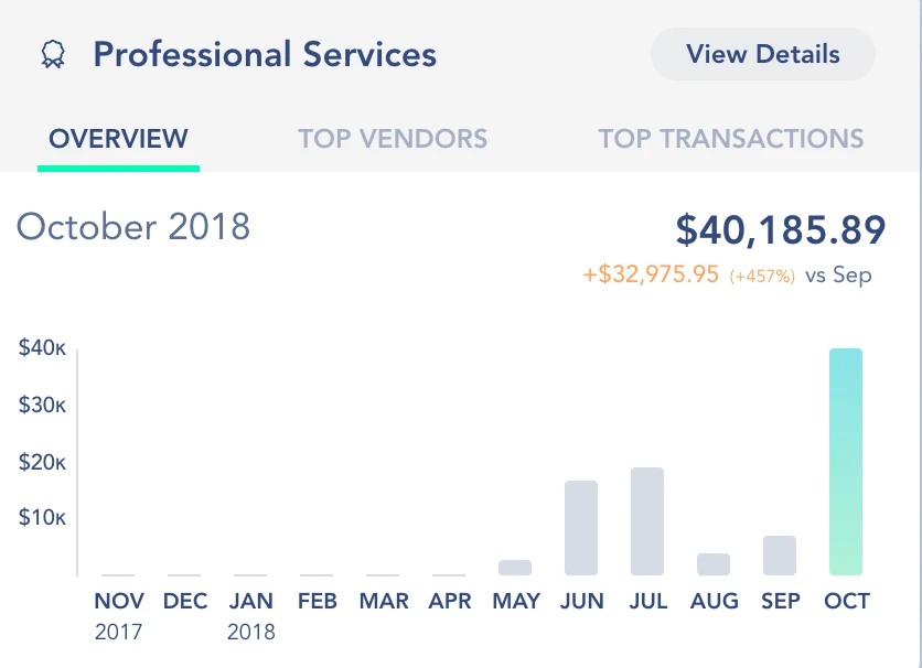 Month by month view of Professional Services expenses