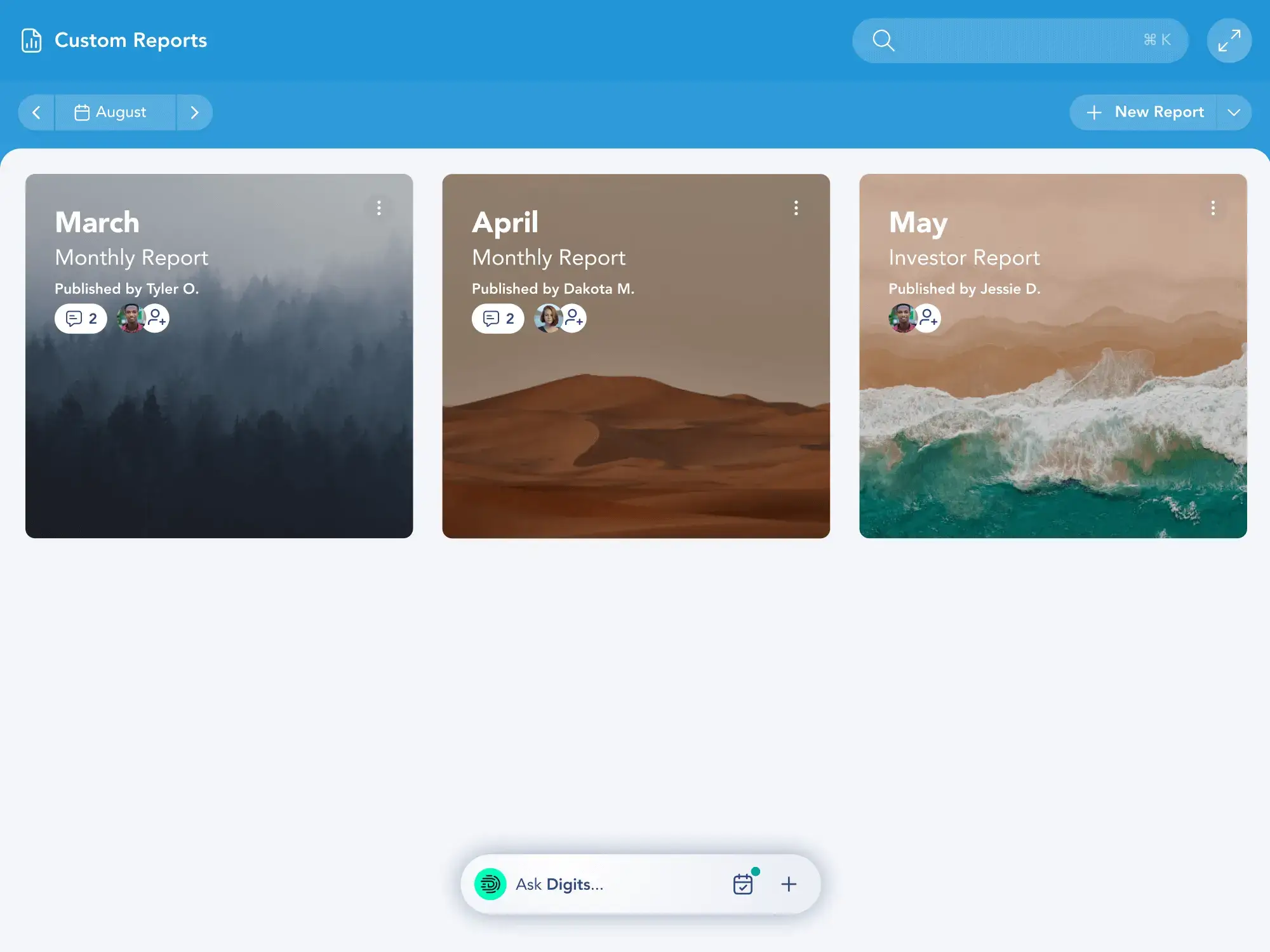 Digits Custom Reports screen