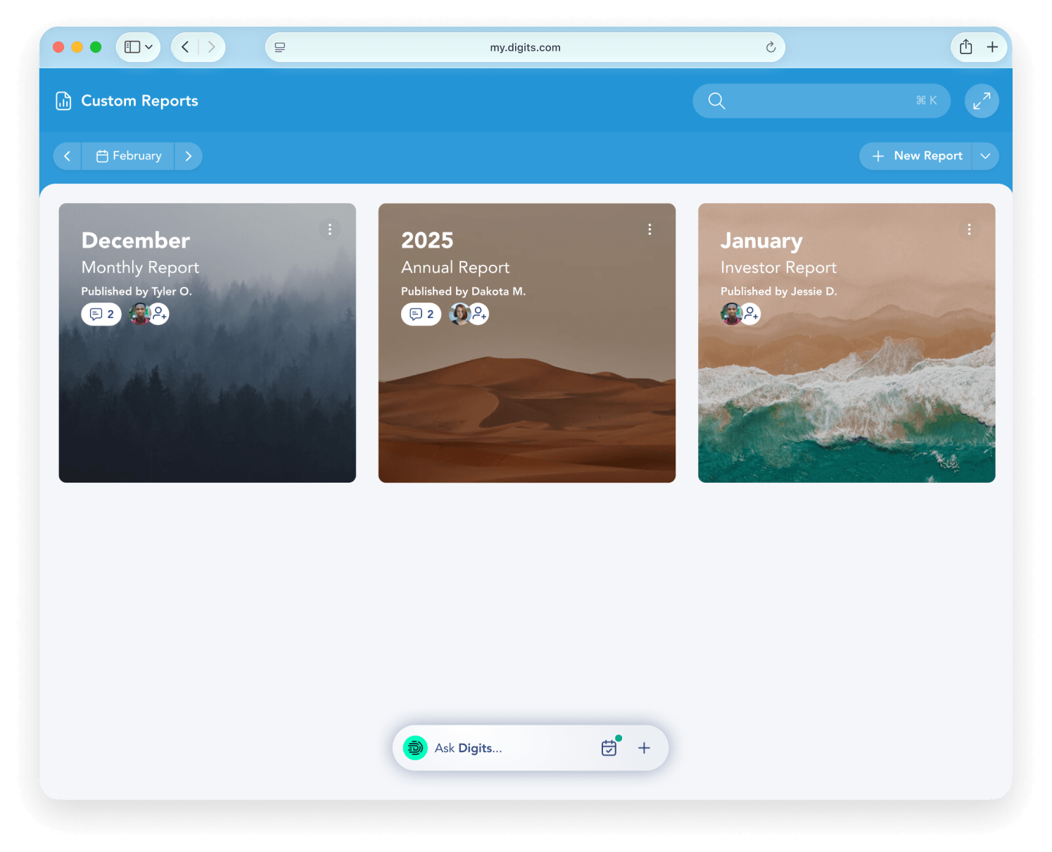Digits Custom Reports screen