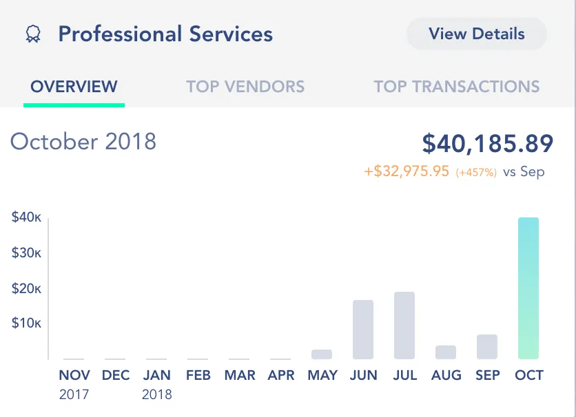 Month by month view of Professional Services expenses